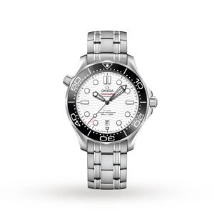 Omega Seamaster 300m 42mm Mens Watch O21030422004001