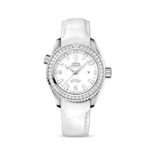 Omega Seamaster PLANET OCEAN 600M CO”‘AXIAL MASTER CHRONOMETER Ref# 232.18.38.20.04.001